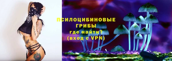 круглые Иннополис