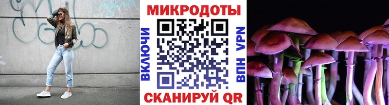 Псилоцибиновые грибы GOLDEN TEACHER  где можно купить   Карачев 